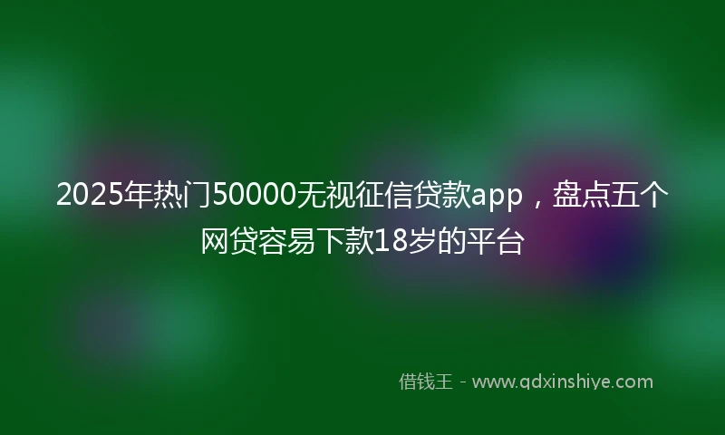 2025年热门50000无视征信贷款app，盘点五个网贷容易下款18岁的平台
