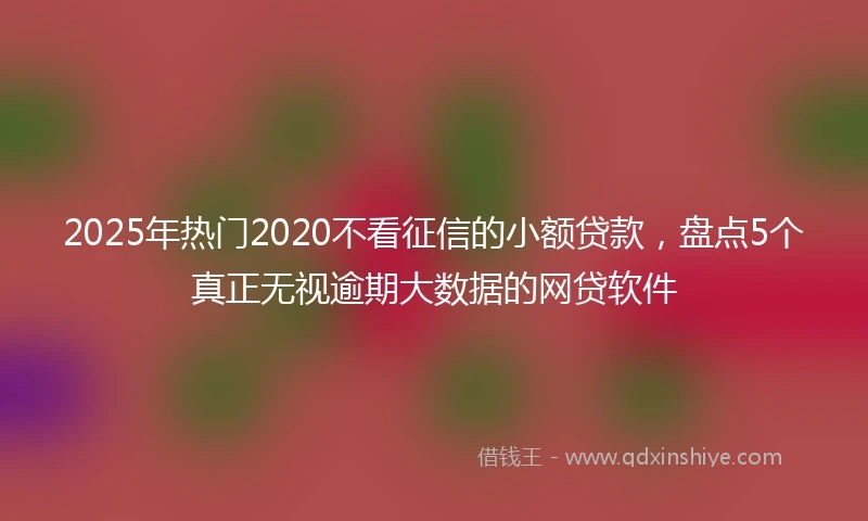 2025年热门2020不看征信的小额贷款，盘点5个真正无视逾期大数据的网贷软件