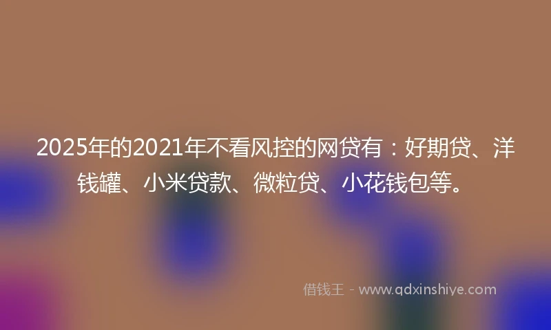 2025年的2021年不看风控的网贷有：好期贷、洋钱罐、小米贷款、微粒贷、小花钱包等。
