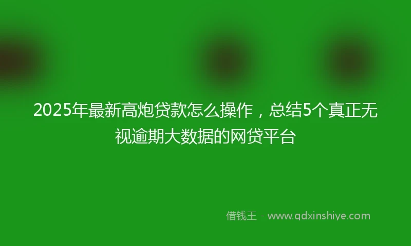 2025年最新高炮贷款怎么操作，总结5个真正无视逾期大数据的网贷平台