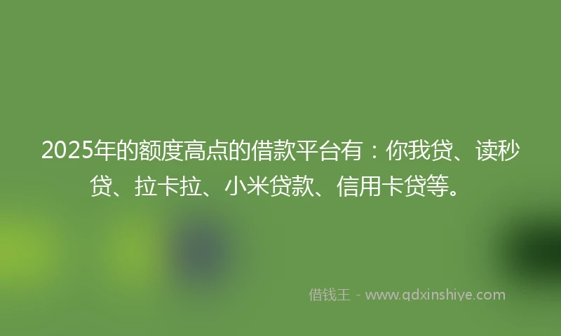 2025年的额度高点的借款平台有：你我贷、读秒贷、拉卡拉、小米贷款、信用卡贷等。