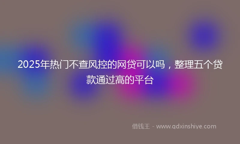 2025年热门不查风控的网贷可以吗，整理五个贷款通过高的平台