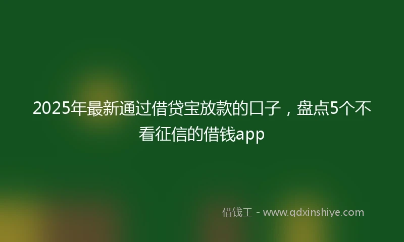 2025年最新通过借贷宝放款的口子，盘点5个不看征信的借钱app
