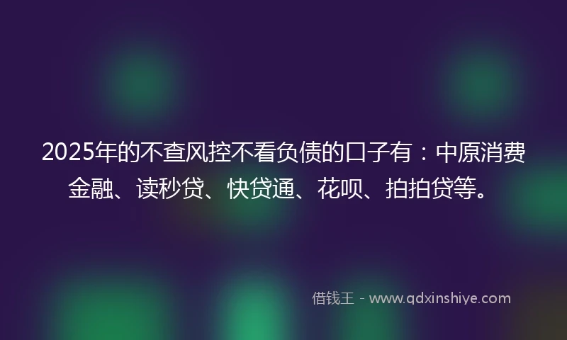 2025年的不查风控不看负债的口子有：中原消费金融、读秒贷、快贷通、花呗、拍拍贷等。