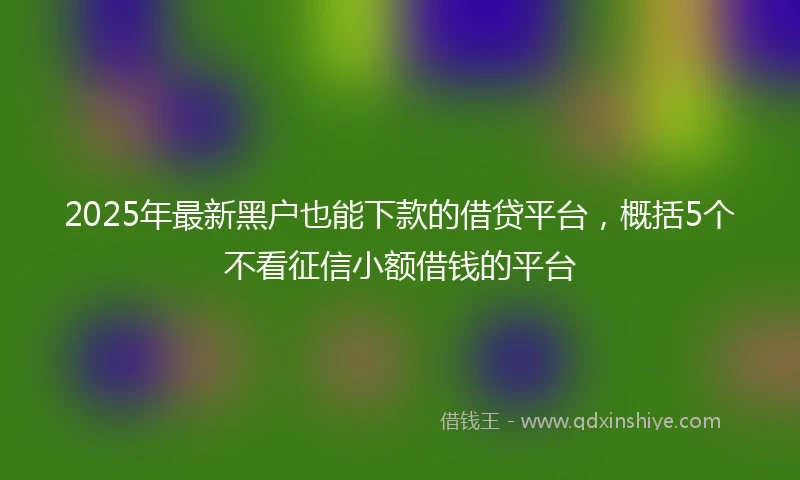 2025年最新黑户也能下款的借贷平台，概括5个不看征信小额借钱的平台