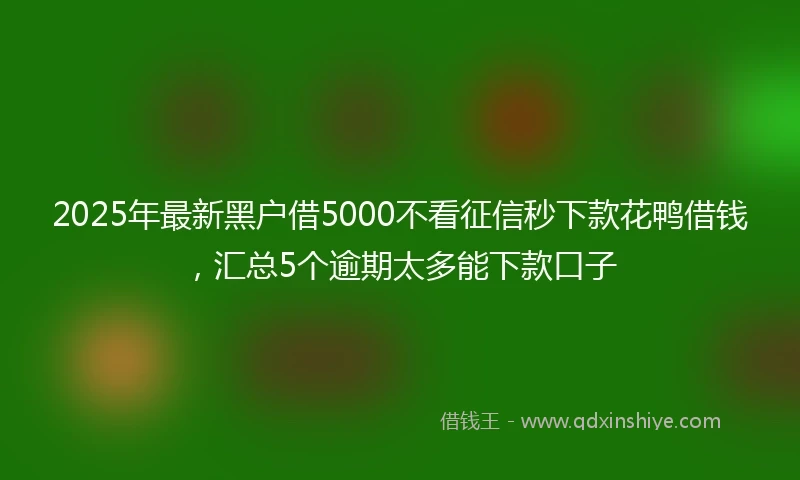 2025年最新黑户借5000不看征信秒下款花鸭借钱，汇总5个逾期太多能下款口子