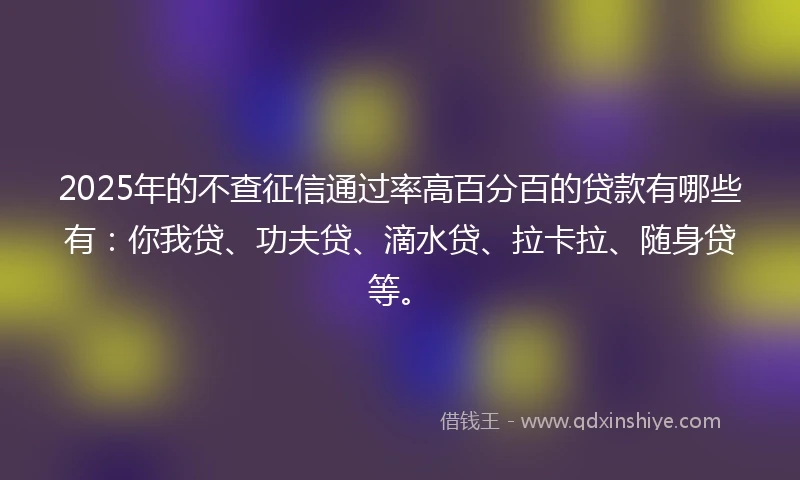 2025年的不查征信通过率高百分百的贷款有哪些有：你我贷、功夫贷、滴水贷、拉卡拉、随身贷等。