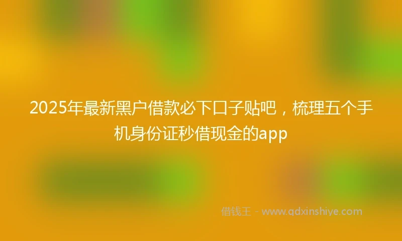 2025年最新黑户借款必下口子贴吧，梳理五个手机身份证秒借现金的app