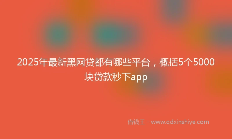 2025年最新黑网贷都有哪些平台，概括5个5000块贷款秒下app