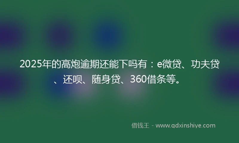 2025年的高炮逾期还能下吗有：e微贷、功夫贷、还呗、随身贷、360借条等。