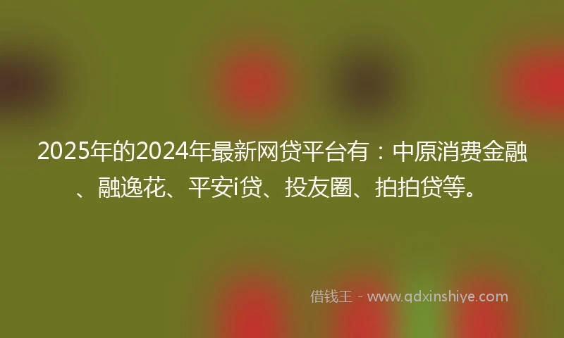 2025年的2024年最新网贷平台有：中原消费金融、融逸花、平安i贷、投友圈、拍拍贷等。