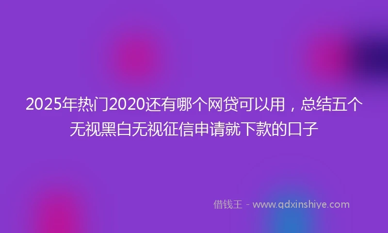 2025年热门2020还有哪个网贷可以用，总结五个无视黑白无视征信申请就下款的口子