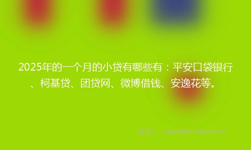 2025年的一个月的小贷有哪些有：平安口袋银行、柯基贷、团贷网、微博借钱、安逸花等。