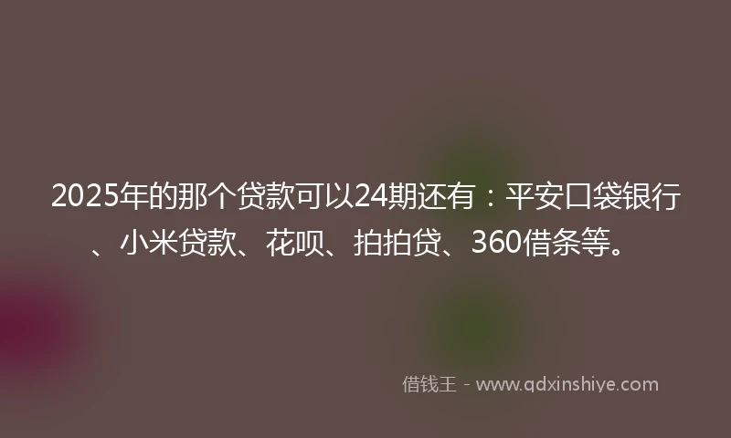 2025年的那个贷款可以24期还有：平安口袋银行、小米贷款、花呗、拍拍贷、360借条等。