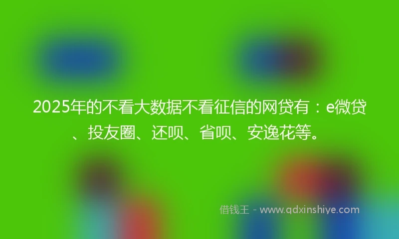 2025年的不看大数据不看征信的网贷有：e微贷、投友圈、还呗、省呗、安逸花等。