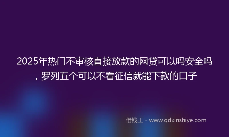 2025年热门不审核直接放款的网贷可以吗安全吗，罗列五个可以不看征信就能下款的口子