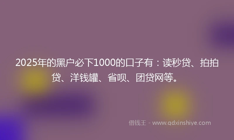 2025年的黑户必下1000的口子有：读秒贷、拍拍贷、洋钱罐、省呗、团贷网等。