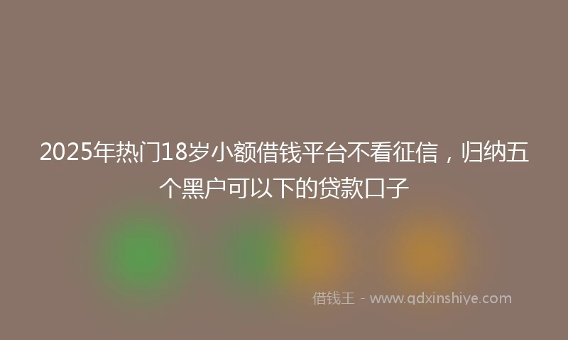 2025年热门18岁小额借钱平台不看征信，归纳五个黑户可以下的贷款口子