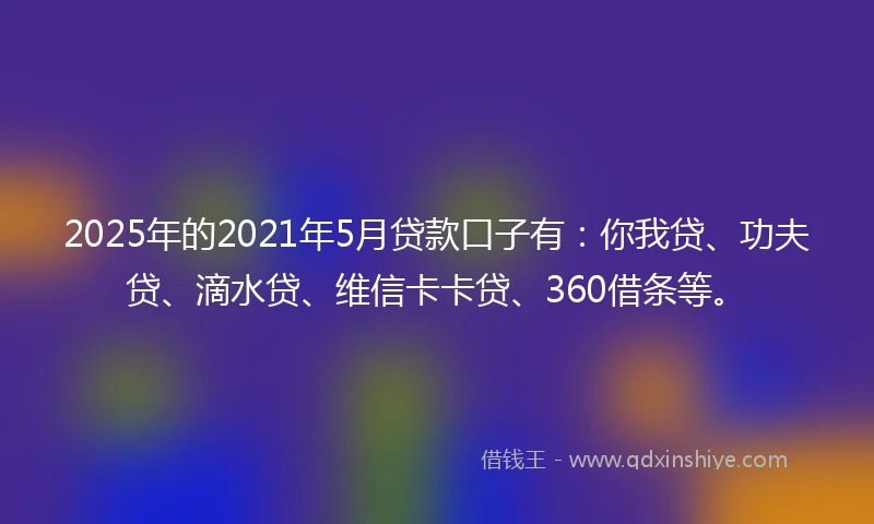 2025年的2021年5月贷款口子有：你我贷、功夫贷、滴水贷、维信卡卡贷、360借条等。