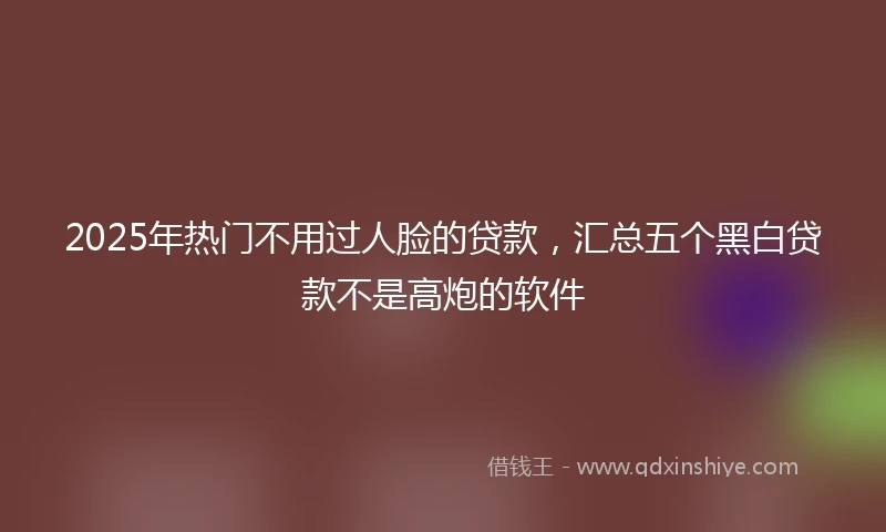 2025年热门不用过人脸的贷款，汇总五个黑白贷款不是高炮的软件