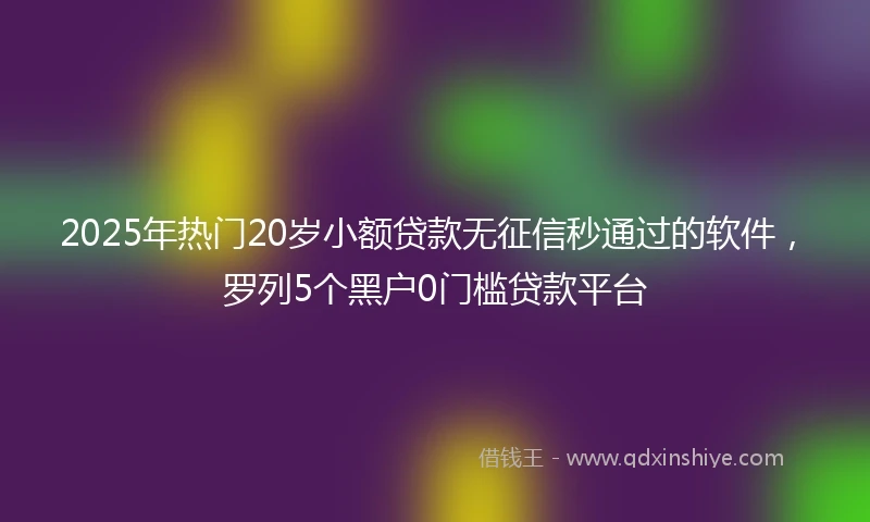 2025年热门20岁小额贷款无征信秒通过的软件，罗列5个黑户0门槛贷款平台