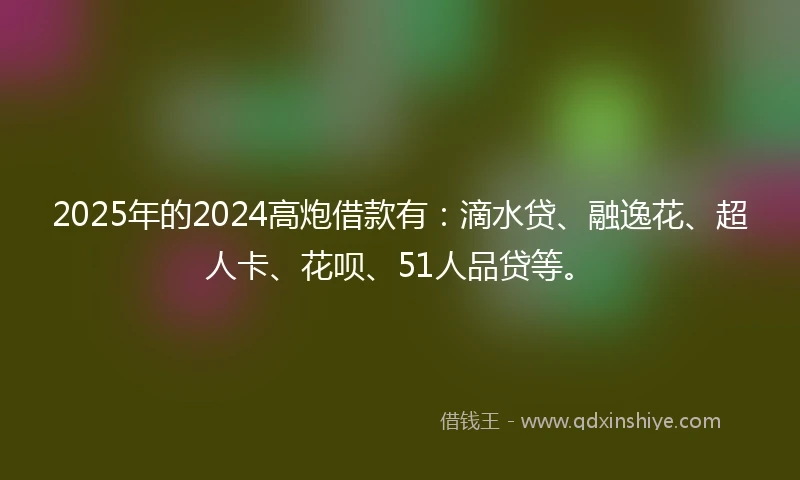 2025年的2024高炮借款有：滴水贷、融逸花、超人卡、花呗、51人品贷等。