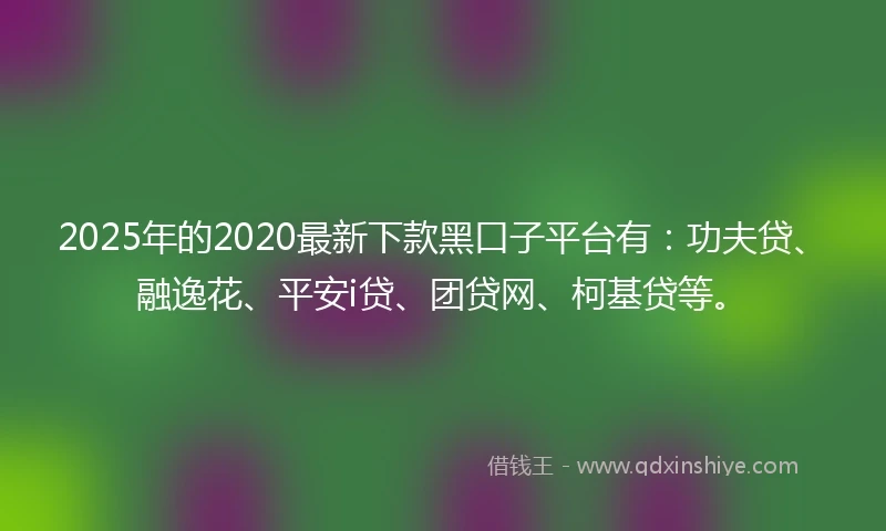 2025年的2020最新下款黑口子平台有：功夫贷、融逸花、平安i贷、团贷网、柯基贷等。