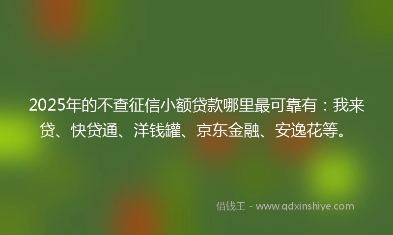 2025年的不查征信小额贷款哪里最可靠有：我来贷、快贷通、洋钱罐、京东金融、安逸花等。