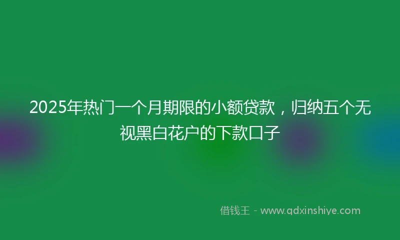 2025年热门一个月期限的小额贷款，归纳五个无视黑白花户的下款口子