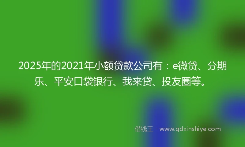 2025年的2021年小额贷款公司有：e微贷、分期乐、平安口袋银行、我来贷、投友圈等。