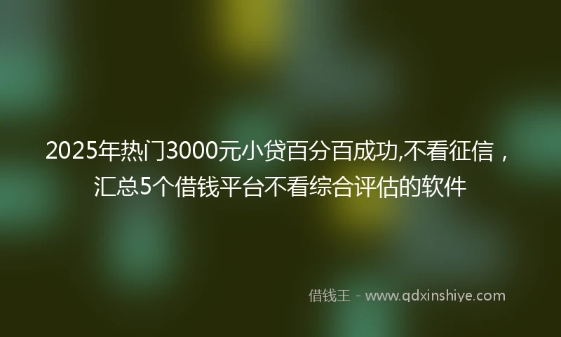 2025年热门3000元小贷百分百成功,不看征信，汇总5个借钱平台不看综合评估的软件