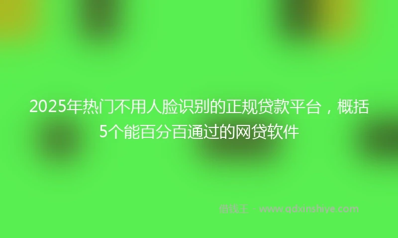 2025年热门不用人脸识别的正规贷款平台，概括5个能百分百通过的网贷软件