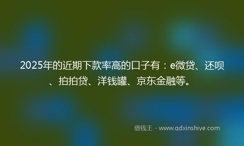 2025年的近期下款率高的口子有：e微贷、还呗、拍拍贷、洋钱罐、京东金融等。