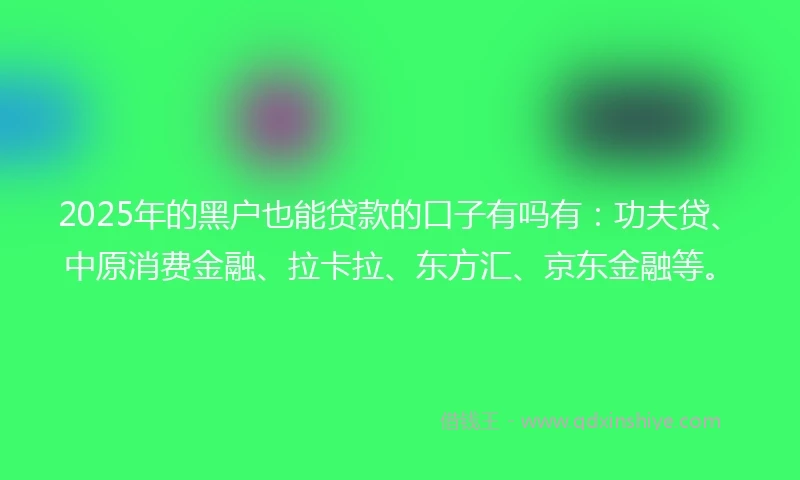 2025年的黑户也能贷款的口子有吗有：功夫贷、中原消费金融、拉卡拉、东方汇、京东金融等。
