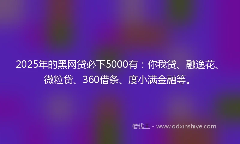 2025年的黑网贷必下5000有：你我贷、融逸花、微粒贷、360借条、度小满金融等。