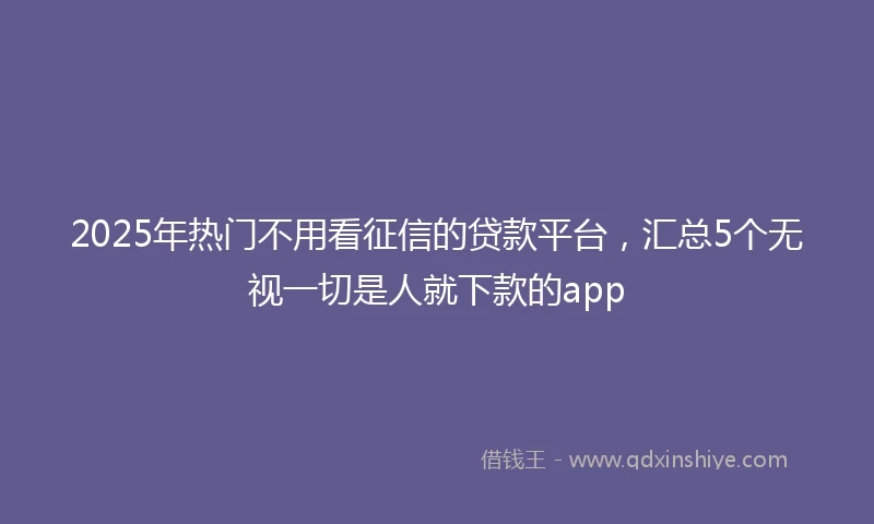 2025年热门不用看征信的贷款平台，汇总5个无视一切是人就下款的app