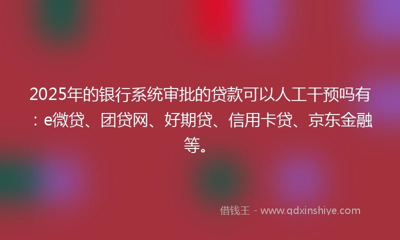 2025年的银行系统审批的贷款可以人工干预吗有：e微贷、团贷网、好期贷、信用卡贷、京东金融等。