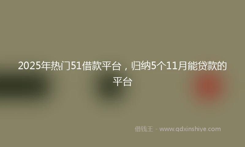 2025年热门51借款平台，归纳5个11月能贷款的平台
