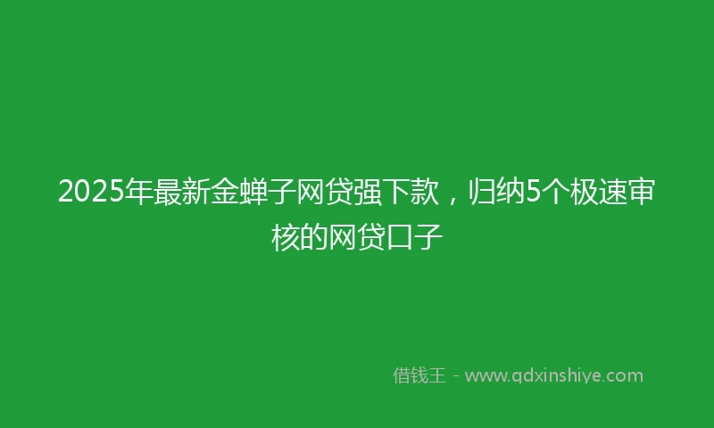 2025年最新金蝉子网贷强下款，归纳5个极速审核的网贷口子