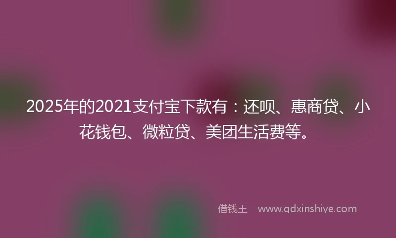 2025年的2021支付宝下款有：还呗、惠商贷、小花钱包、微粒贷、美团生活费等。