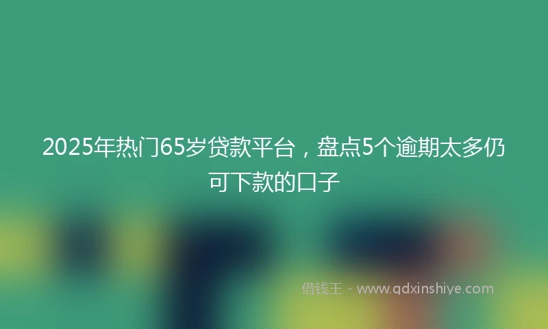 2025年热门65岁贷款平台，盘点5个逾期太多仍可下款的口子