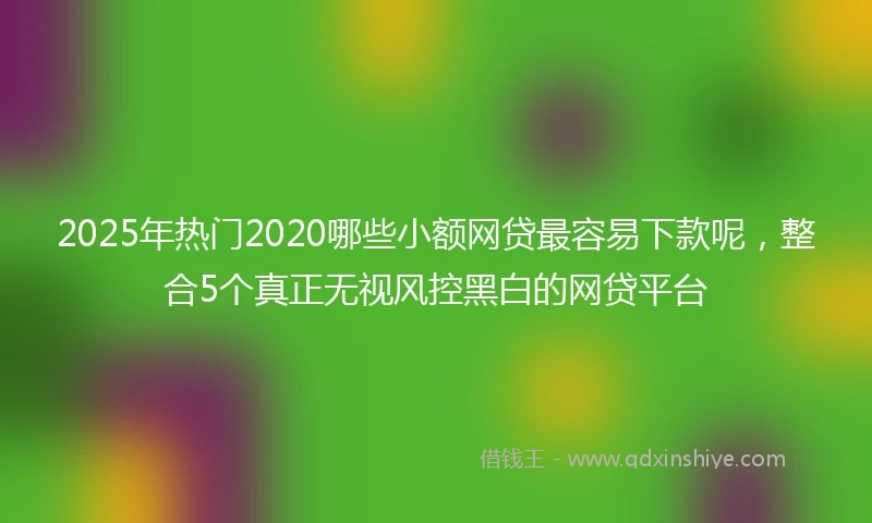 2025年热门2020哪些小额网贷最容易下款呢，整合5个真正无视风控黑白的网贷平台