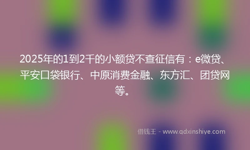 2025年的1到2千的小额贷不查征信有：e微贷、平安口袋银行、中原消费金融、东方汇、团贷网等。