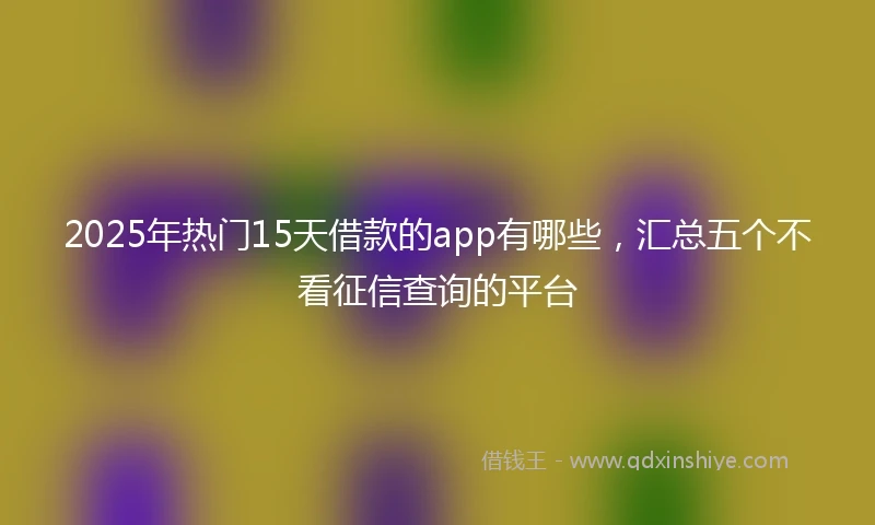 2025年热门15天借款的app有哪些，汇总五个不看征信查询的平台