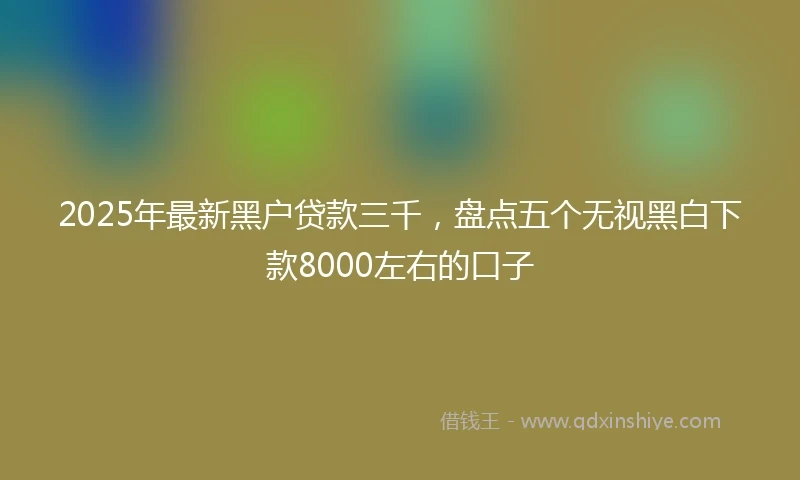 2025年最新黑户贷款三千，盘点五个无视黑白下款8000左右的口子