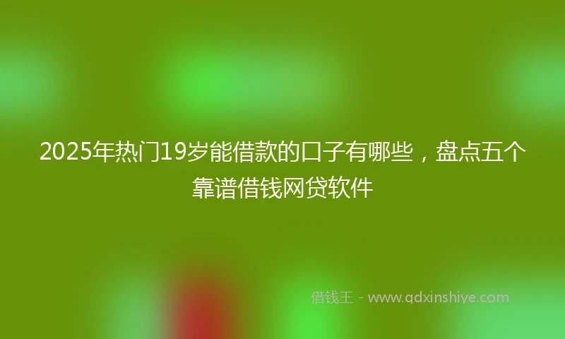2025年热门19岁能借款的口子有哪些，盘点五个靠谱借钱网贷软件