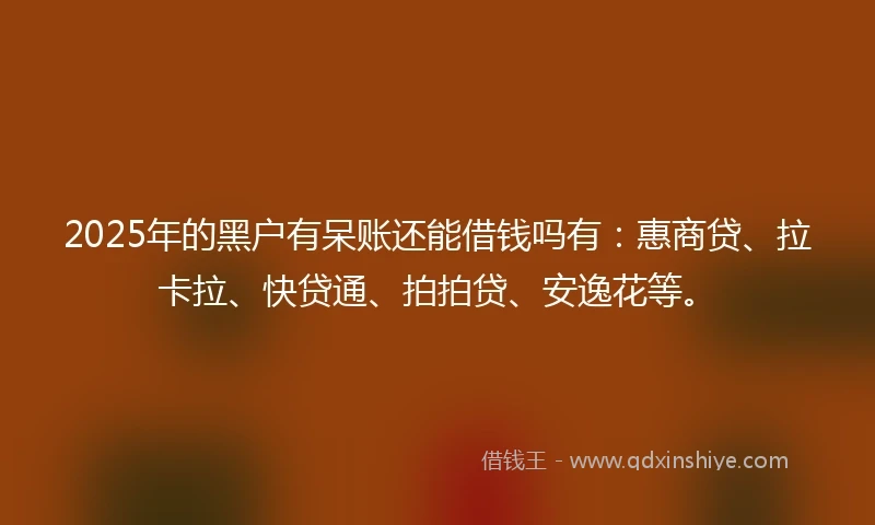 2025年的黑户有呆账还能借钱吗有：惠商贷、拉卡拉、快贷通、拍拍贷、安逸花等。