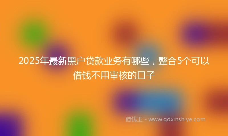 2025年最新黑户贷款业务有哪些，整合5个可以借钱不用审核的口子