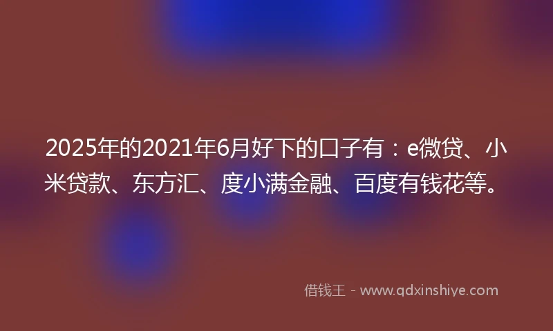 2025年的2021年6月好下的口子有：e微贷、小米贷款、东方汇、度小满金融、百度有钱花等。