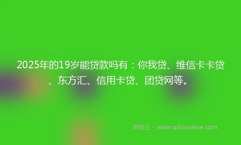 2025年的19岁能贷款吗有：你我贷、维信卡卡贷、东方汇、信用卡贷、团贷网等。